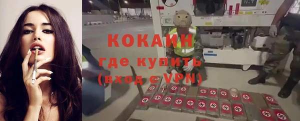 дмт Абаза