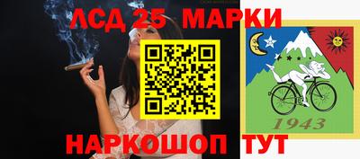 гидропоника Будённовск