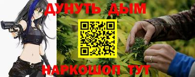 гидропоника Будённовск