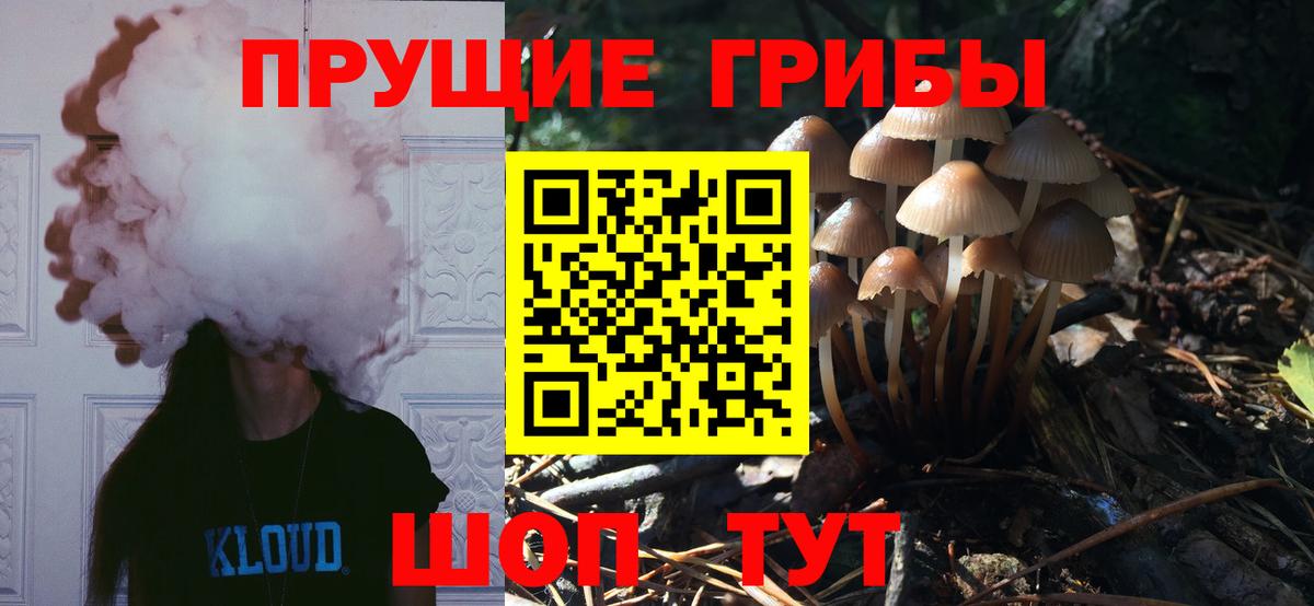 Донской  Галлюциногенные грибы ЛСД  где можно купить наркотик  Вход с VPN 